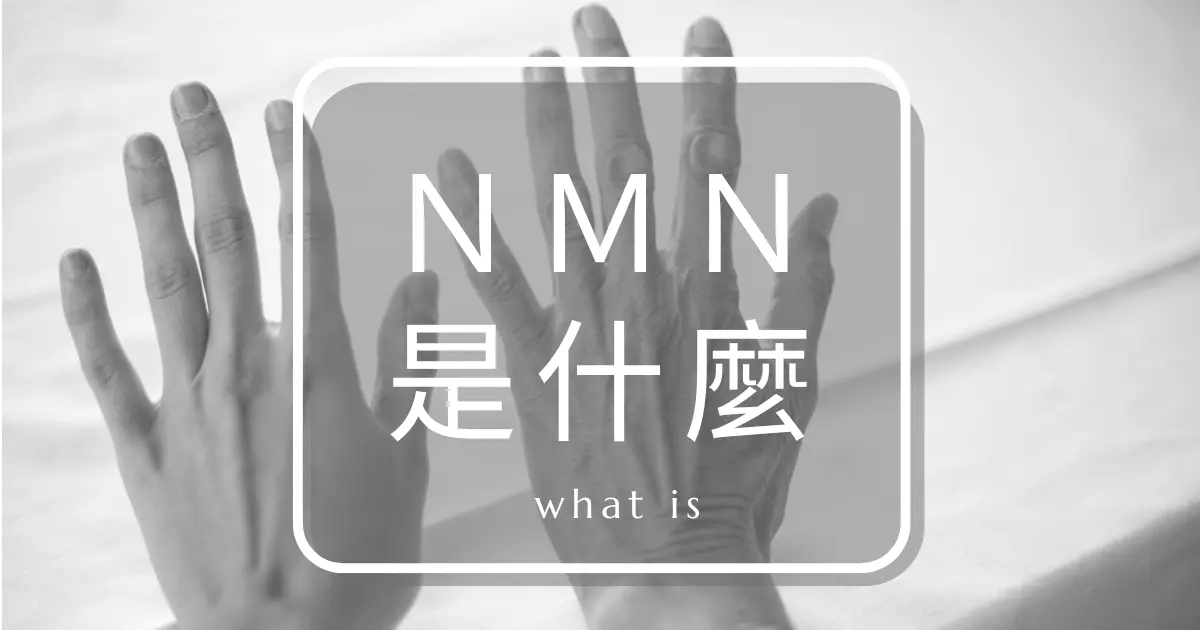 NMN是什麼